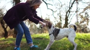 Parkta köpeğiyle oynayan bir kız. Bir köpek yavrusu metresinin elinde sopayla oynar. Köpek yürüyüşü
