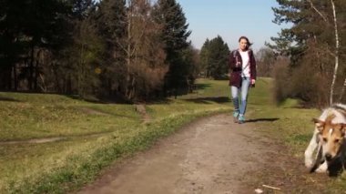 Genç erkek köpek pistte metresin önünde koşar. Bir kız köpeğiyle şehir parkında yürüyor. Karantina sırasında bir köpekle yürümek.