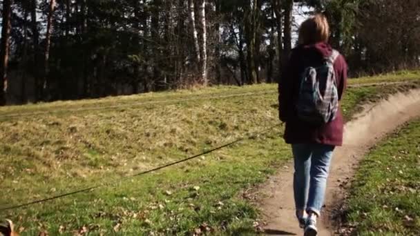 Vista posteriore di una ragazza che cammina su una strada del villaggio con il suo cane al guinzaglio. Cammina con il cane — Video Stock