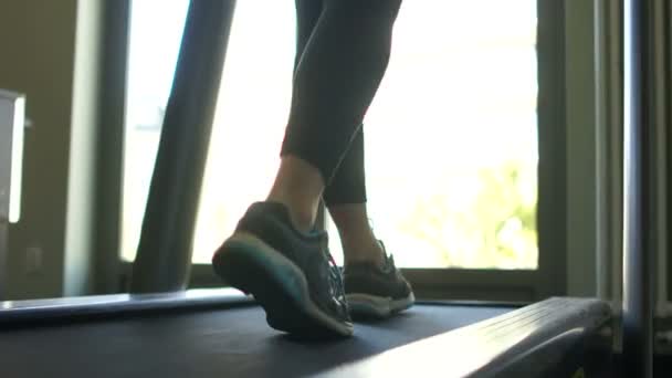 Retrato cerrado. Patas femeninas en zapatillas deportivas en una cinta de correr. Dentro de un gimnasio o apartamento. Estilo de vida saludable — Vídeos de Stock