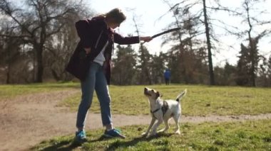 Karantina sırasında köpek gezdirme, hayvan bakımı, köpek gezdirme. Güzel genç kız parkta yürüyüş yaparken posta köpeğiyle sopayla oynuyor.