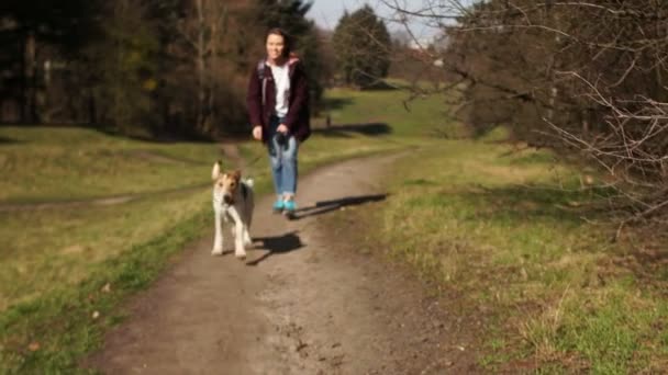 Tasmalı bir köpek parktaki yol boyunca hostesin önünde koşar. Burgundy ceketli ve sırtında sırt çantası olan sevimli bir kadın evcil hayvanıyla yürüyor. — Stok video