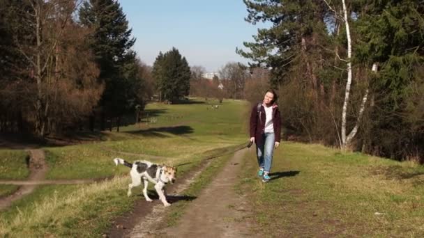 소녀 는개와 함께 시립 공원을 산책 한다. 젊은 수컷 개가 길을 따라 여주인 앞에서 뛰어다닌다. — 비디오