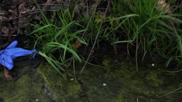 Ecología del planeta durante la cuarentena. Máscara y guantes médicos usados se encuentran en el parque. Eliminación de equipos médicos, contaminación ambiental — Vídeo de stock