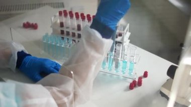 Kadın mikrobiyolog, koronavirüs enfeksiyonlu kan örneklerini inceliyor. Covid-19 teşhisi, ELISA testleri, antikor tespiti yoluyla PCR analizi, kan serolojisi.