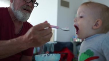 Büyükbabam küçük bir torunu kaşıkla besler. Mutlu aile, büyükbaba ve torun