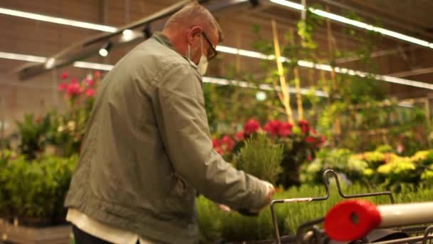 Zakupy podczas kwarantanny, seniora w supermarkecie podczas zamknięcia. Starszy obywatel wybiera kwiat w garnku. Starszy zamaskowany mężczyzna w rękawiczkach robi zakupy w supermarkecie — Wideo stockowe