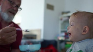 Mutlu büyükbaba torununa sıvı yiyecek veriyor. Şirin, tapılası bebek, son sınıf öğrencisiyle yemek yiyor. Kağıt havluyla silinmiş komik küçük çocuk.