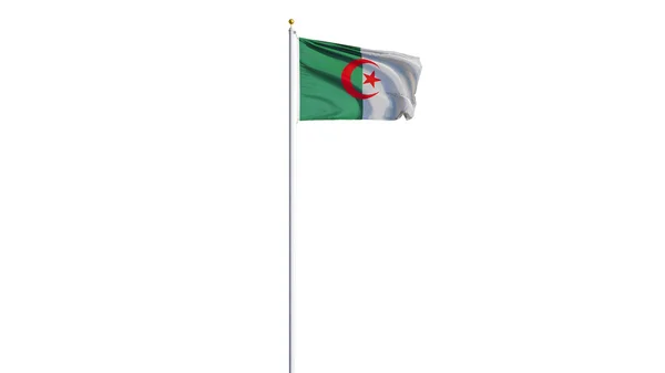 Vlag van Algerije, geïsoleerd met uitknippad alfakanaal transparantie — Stockfoto