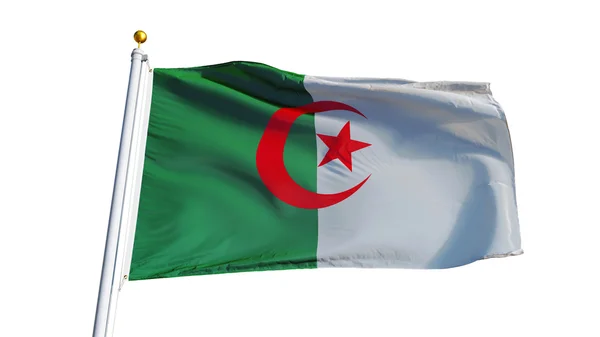 Flaga Algierii, izolowana z przezroczystością kanału alfa ścieżki przycinającej — Zdjęcie stockowe