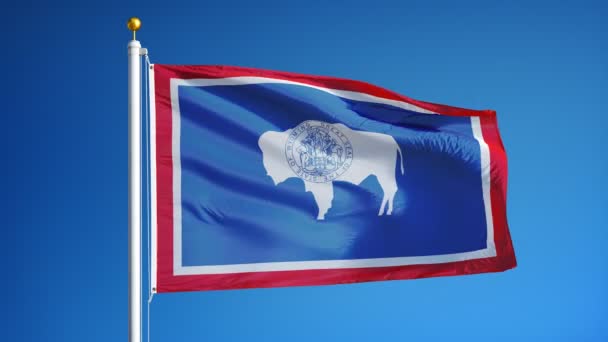 Bandera de Wyoming (estado de EE.UU.) en cámara lenta en bucle sin problemas con alpha — Vídeos de Stock