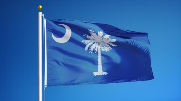 South Carolina (VS staat) vlag in slowmotion naadloos lus met alpha — Stockvideo