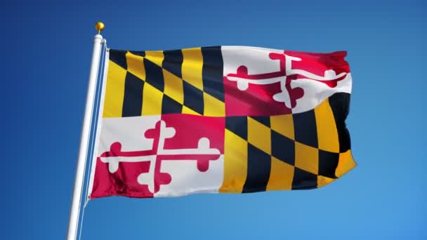 Maryland (Verenigde Staten) vlag in slowmotion naadloos lus met alpha — Stockvideo