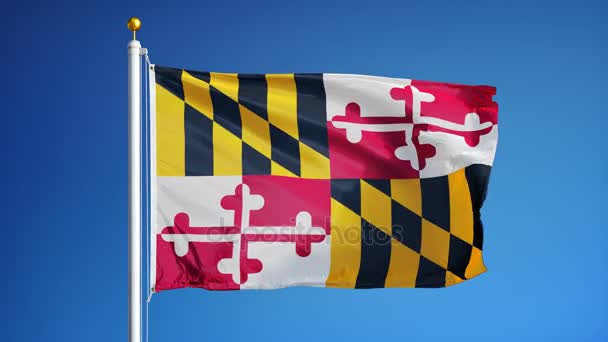 Maryland (Πολιτεία ΗΠΑ) σημαία σε αργή κίνηση looped απρόσκοπτα με άλφα — Αρχείο Βίντεο