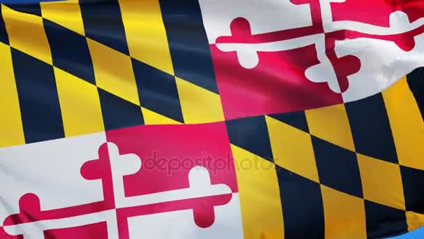 Мэриленд (штат США) флаг в замедленной съемке плавно зациклен на альфе — стоковое видео