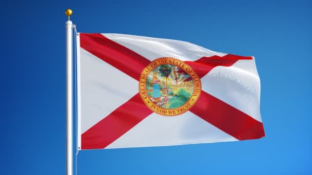 Florida (US-Bundesstaat) Flagge in Zeitlupe nahtlos mit Alpha — Stockvideo