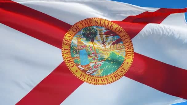 Florida (VS) vlag in slowmotion naadloos lus met alpha — Stockvideo