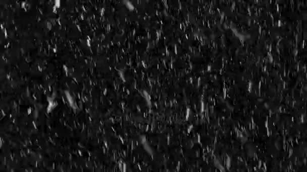 Падіння справжнього сильного снігу, сильна снігова буря, безперешкодно петля — стокове відео