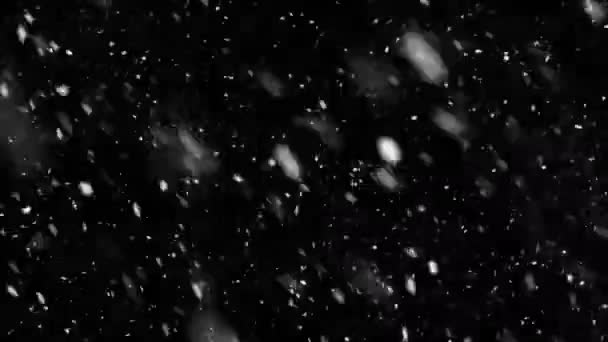 Caindo neve pesada real, tempestade de neve pesada, perfeitamente enrolada — Vídeo de Stock