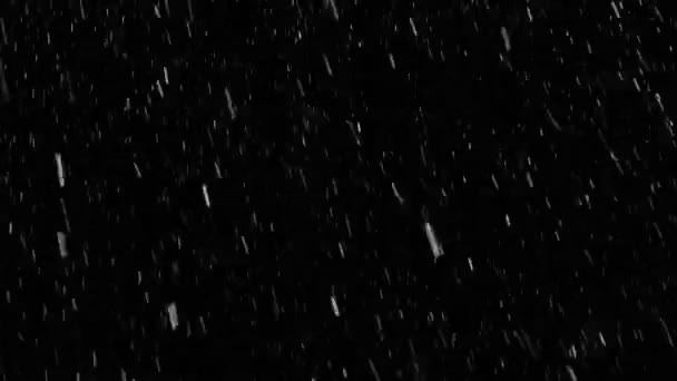Bezproblemowo spada śnieg prawdziwy spokój od lewej do prawej, zapętlony — Wideo stockowe