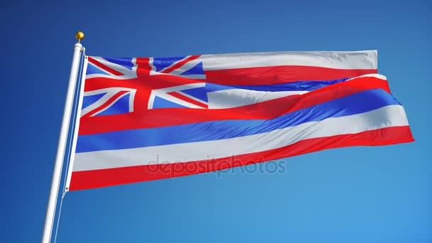 Флаг Гавайев (штат США) в замедленной съемке плавно зациклен на альфе — стоковое видео