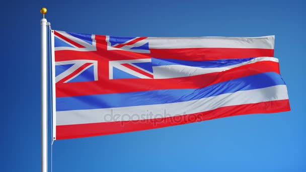 Hawaii (U.S. state) flag in slow motion seamlessly looped with alpha — Stock Footage Hawaii (U.S. state) flag in slow motion seamlessly looped with alpha Stock Footage