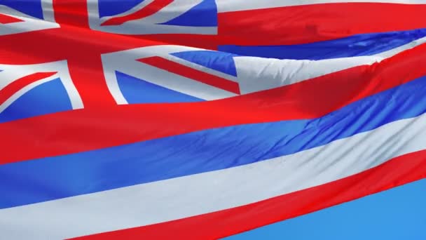Bandiera Hawaii (stato degli Stati Uniti) al rallentatore perfettamente in loop con alfa — Video Stock