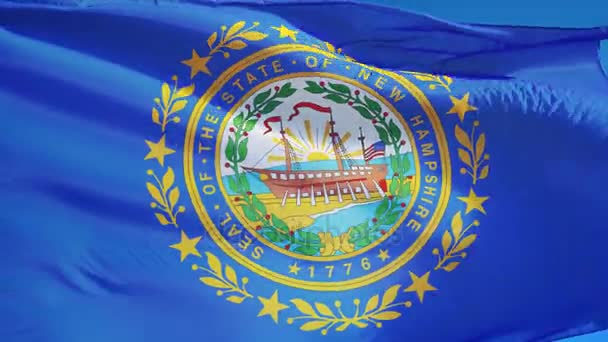 New Hampshire (U.S. state) flag in slow motion seamlessly looped with alpha — Stock Video