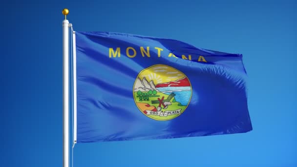 Montana (Yhdysvaltain osavaltio) lippu hidastettuna saumattomasti silmukka alfa — kuvapankkivideo