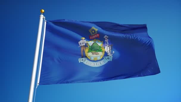 Maine (U.S. state) flag in slow motion seamlessly looped with alpha — Stock Footage Maine (U.S. state) flag in slow motion seamlessly looped with alpha Stock Footage