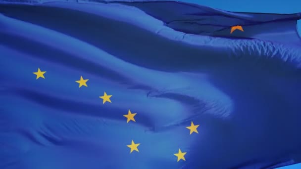 Alaska (Verenigde Staten) vlag in slowmotion naadloos lus met alpha — Stockvideo