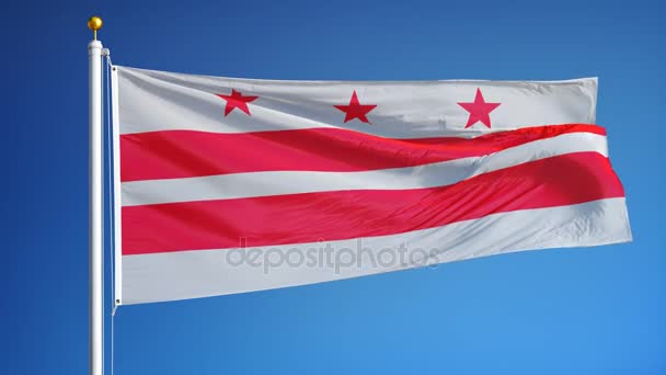 Washington D.C drapeau au ralenti en boucle transparente avec alpha — Video