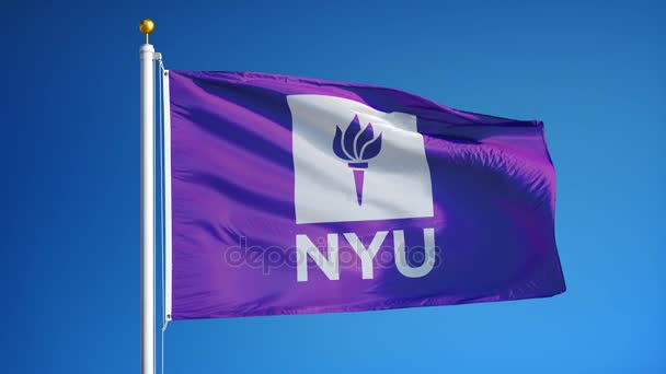 Vlajka na New York University v pomalém pohybu, redakční animace — Stock video