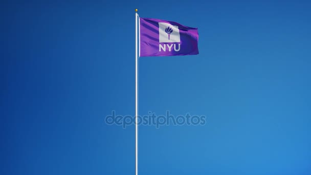 New york university flag in Zeitlupe, redaktionelle Animation — Stockvideo