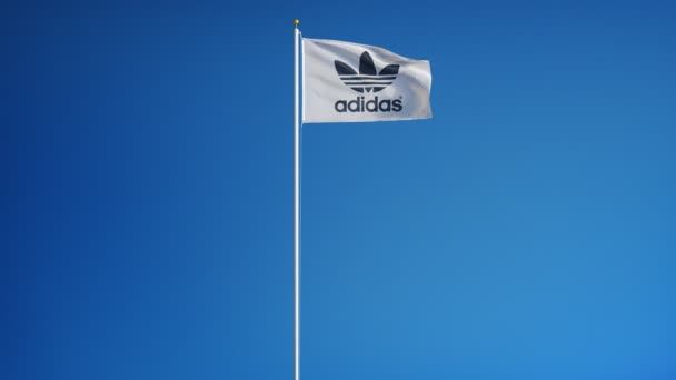 Drapeau d'entreprise Adidas au ralenti, animation éditoriale — Video