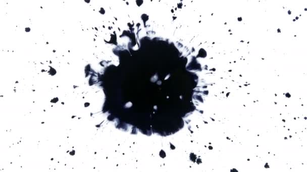 Beautiful drops on white. Perfect for transitions/Ink drops/Splatter — Stock Video