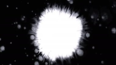 Güzel beyaz suluboya mürekkebi siyah arka plan üzerine düşer, boya bloom kanama, daire organik akış genişleyen, splatter saf zemin üzerinde yayılan. Hareketli grafikler, dijital kompozisyon için mükemmel 