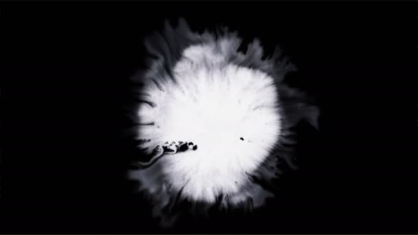 Όμορφο Λευκό Μελάνι Υδατογραφία Σταγόνες Μαύρο Φόντο Βαφή Βαφής Μπλουμ — Αρχείο Βίντεο