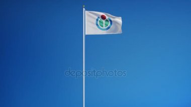 Wikimedia Vakfı bayrağı yavaş hareket, editoryal animasyon