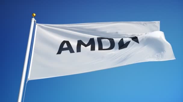 AMD företaget flagga i slow motion, redaktionella animation — Stockvideo
