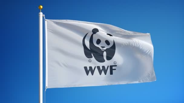 Флаг компании World Wide Wildlife в замедленной съемке, редакционная анимация — стоковое видео