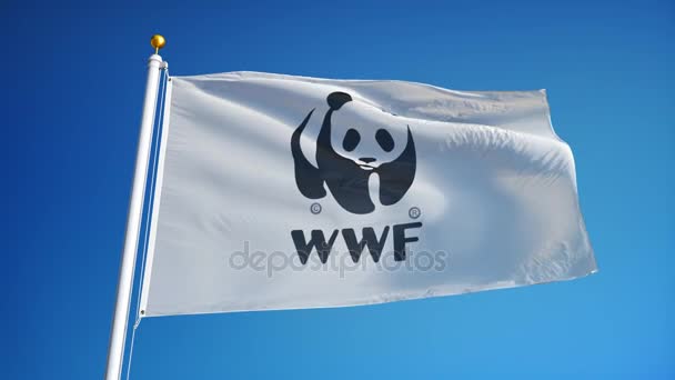 World Wide Wildlife company flag in slow motion, editorial animation — Stock Video