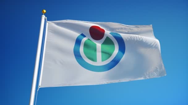 Bandeira da Wikimedia Foundation em câmera lenta, animação editorial — Vídeo de Stock