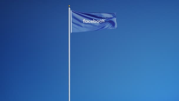 Bandiera aziendale Facebook al rallentatore, animazione editoriale — Video Stock