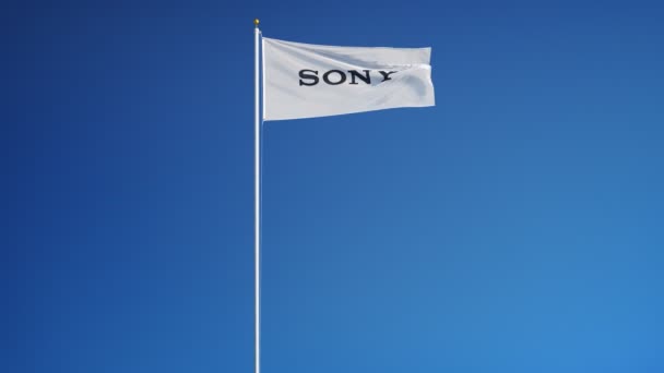 Sony εταιρεία σημαία σε αργή κίνηση, Εκδοτική κίνηση — Αρχείο Βίντεο