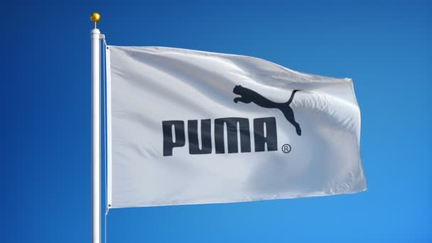 Bandiera aziendale Puma al rallentatore, animazione editoriale — Video Stock