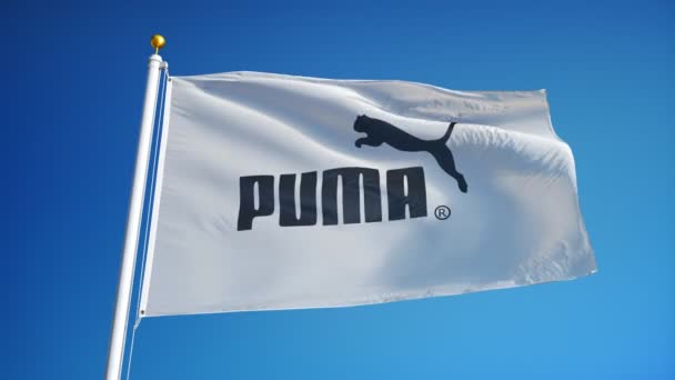 Puma company flag in slow motion, editorial animation — Stock Video