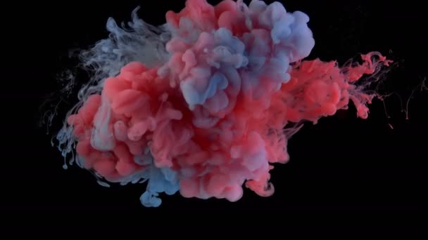 Renkli Gökkuşağı Boya Karıştırma Yukarıdan Düşer Mürekkep Suyun Altında Dönüyor — Stok video