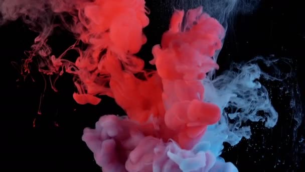 Echte Shot Color Paint Druppels Slow Motion Water Inkt Wervelende — Stockvideo