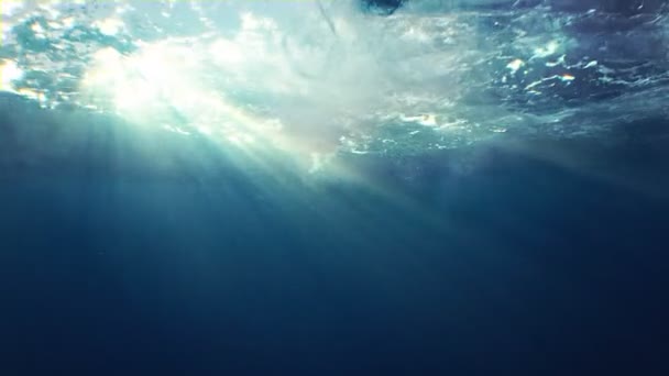 水中通過自然の風光明媚な背景 — ストック動画